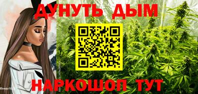 a pvp Гудермес